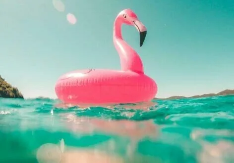 Flamingo in water out of office bericht Flamingo in water uitbeeldend vakantiegevoel, past bij blog met tips over out of office bericht